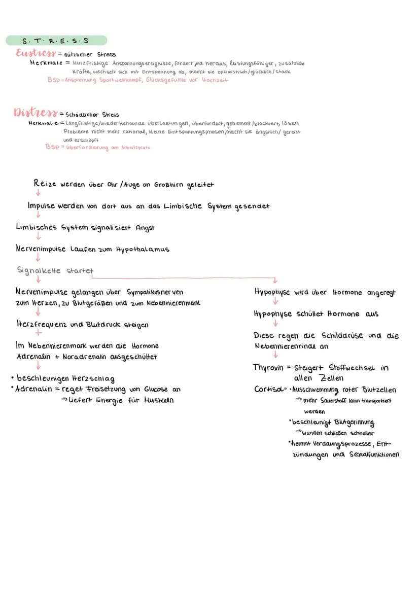 HORMONE
in Drüsen erzeugte, ins Blut abgegebene, Körpereigene Botenstoffe, die den Stoffwechsel spezifischer Organe steuern.
Schlüssel Schlo
