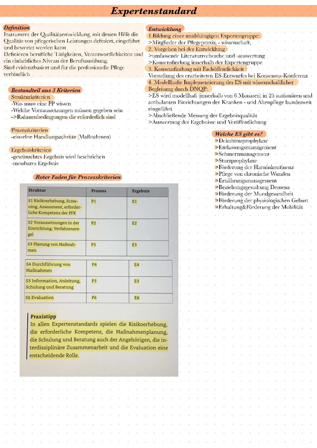Expertenstandard 