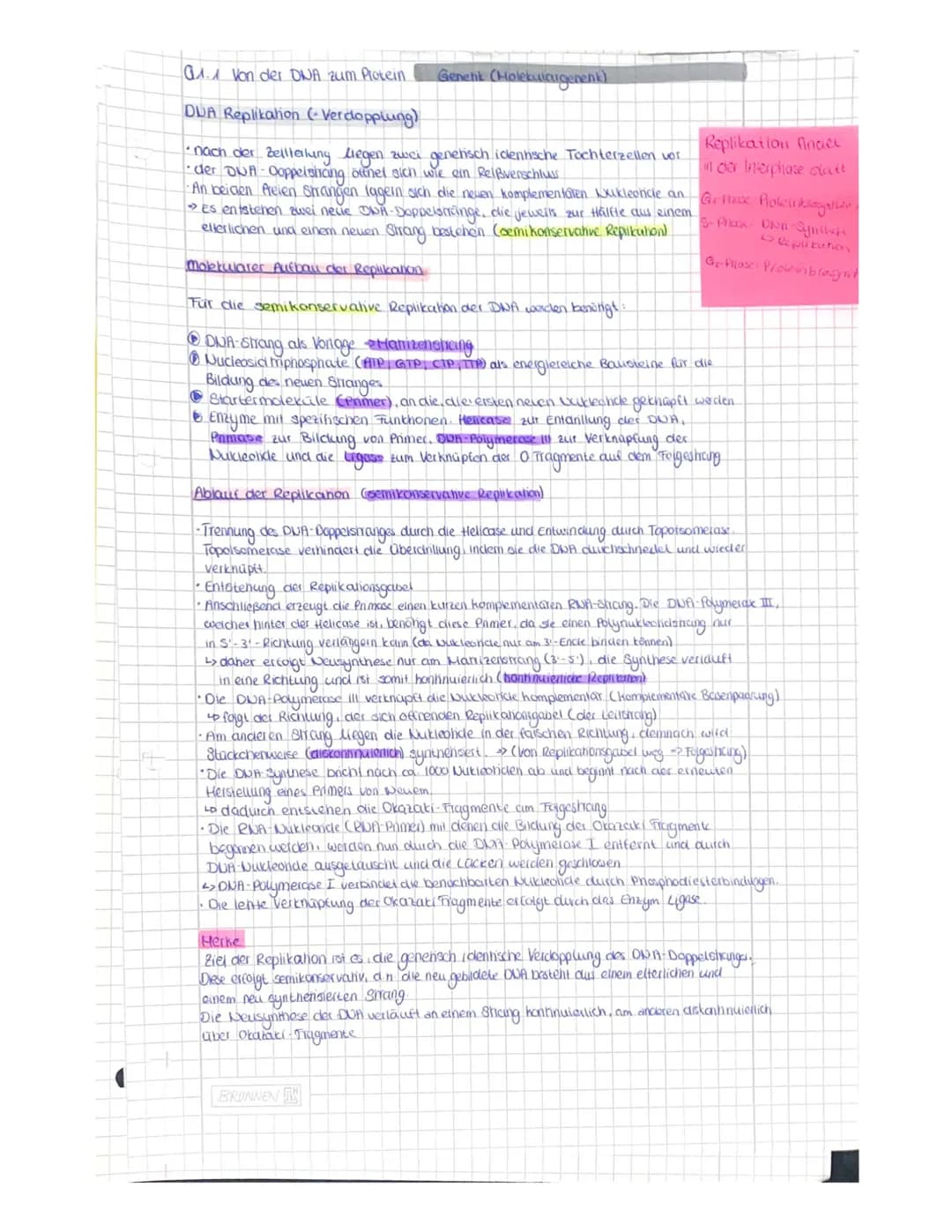 OR
to
Q1.1 Von der DNA zum Protein.
Aufbau der DNA (Desoxyribonukleinacid)
Träger der Elbsubstanz
S
=
H
Hauptfunktion
Fungeschlechtliche wei