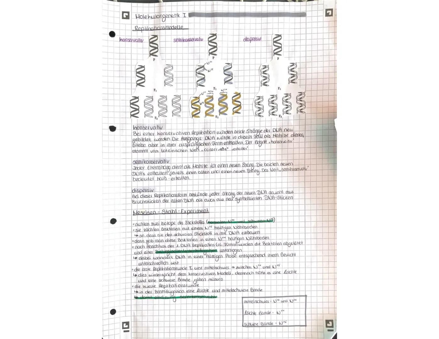 OR
to
Q1.1 Von der DNA zum Protein.
Aufbau der DNA (Desoxyribonukleinacid)
Träger der Elbsubstanz
S
=
H
Hauptfunktion
Fungeschlechtliche wei