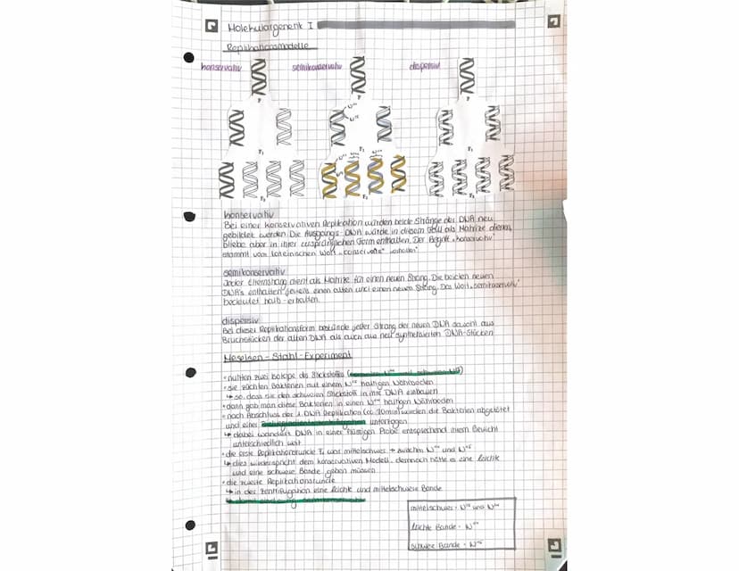 OR
to
Q1.1 Von der DNA zum Protein.
Aufbau der DNA (Desoxyribonukleinacid)
Träger der Elbsubstanz
S
=
H
Hauptfunktion
Fungeschlechtliche wei