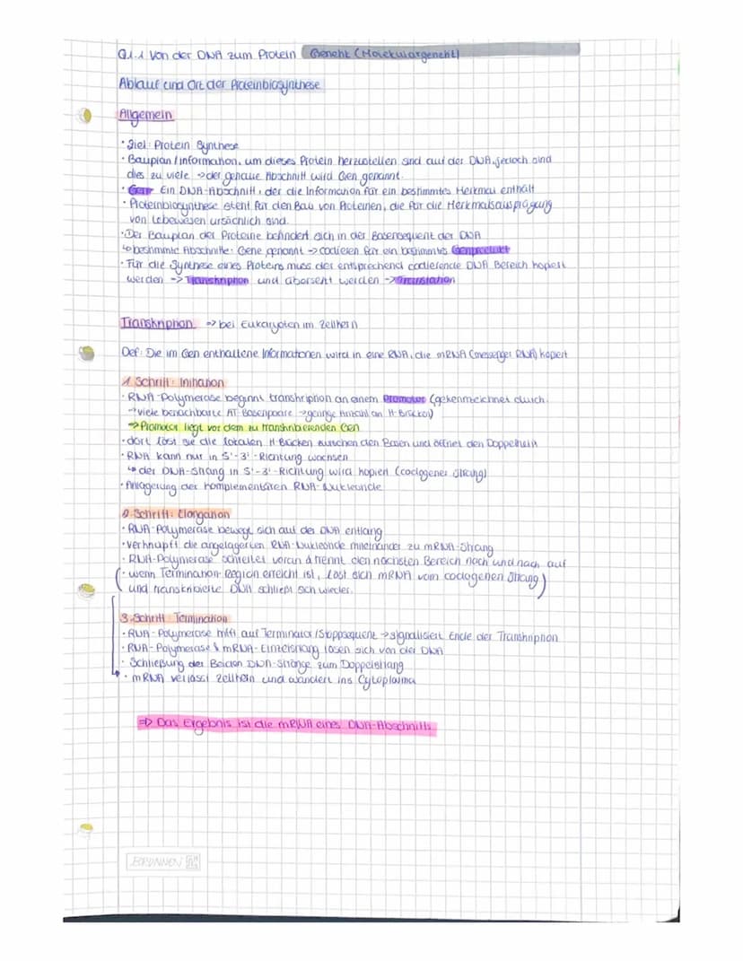 OR
to
Q1.1 Von der DNA zum Protein.
Aufbau der DNA (Desoxyribonukleinacid)
Träger der Elbsubstanz
S
=
H
Hauptfunktion
Fungeschlechtliche wei
