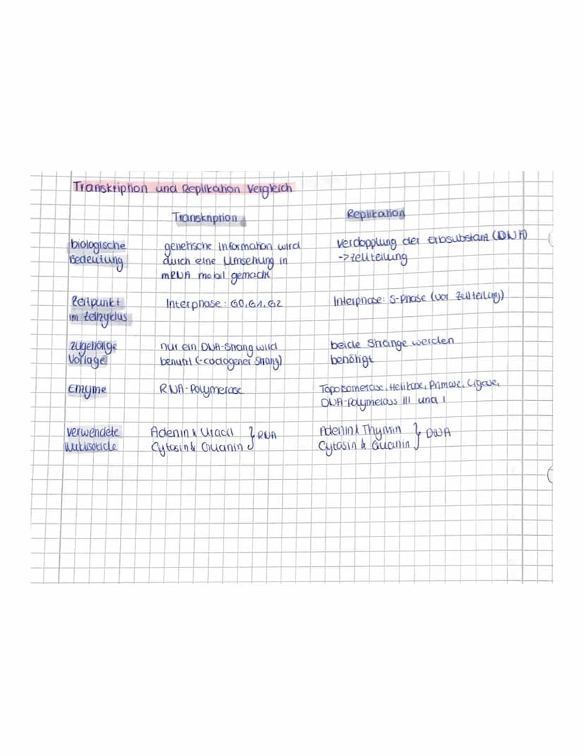 OR
to
Q1.1 Von der DNA zum Protein.
Aufbau der DNA (Desoxyribonukleinacid)
Träger der Elbsubstanz
S
=
H
Hauptfunktion
Fungeschlechtliche wei