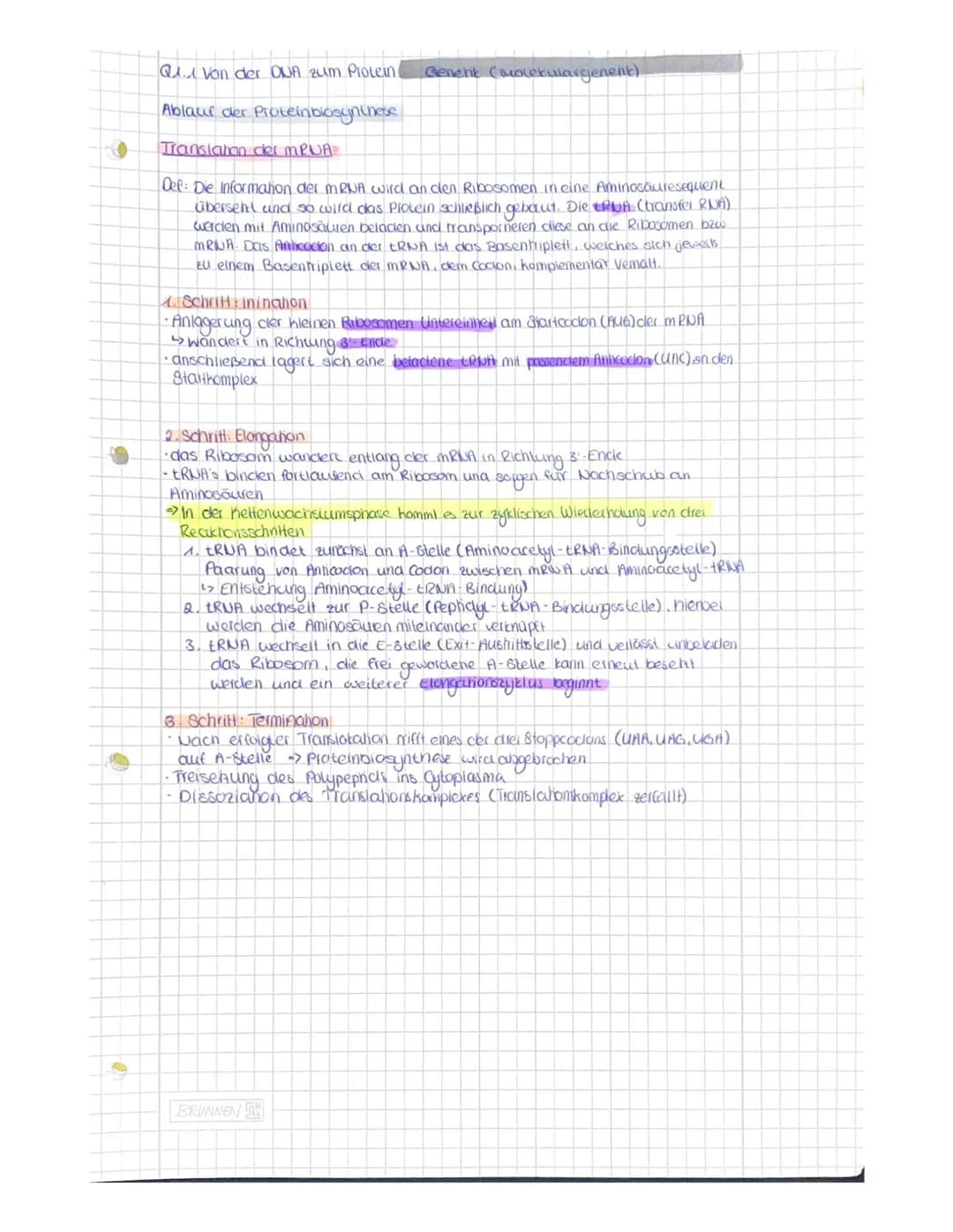 OR
to
Q1.1 Von der DNA zum Protein.
Aufbau der DNA (Desoxyribonukleinacid)
Träger der Elbsubstanz
S
=
H
Hauptfunktion
Fungeschlechtliche wei