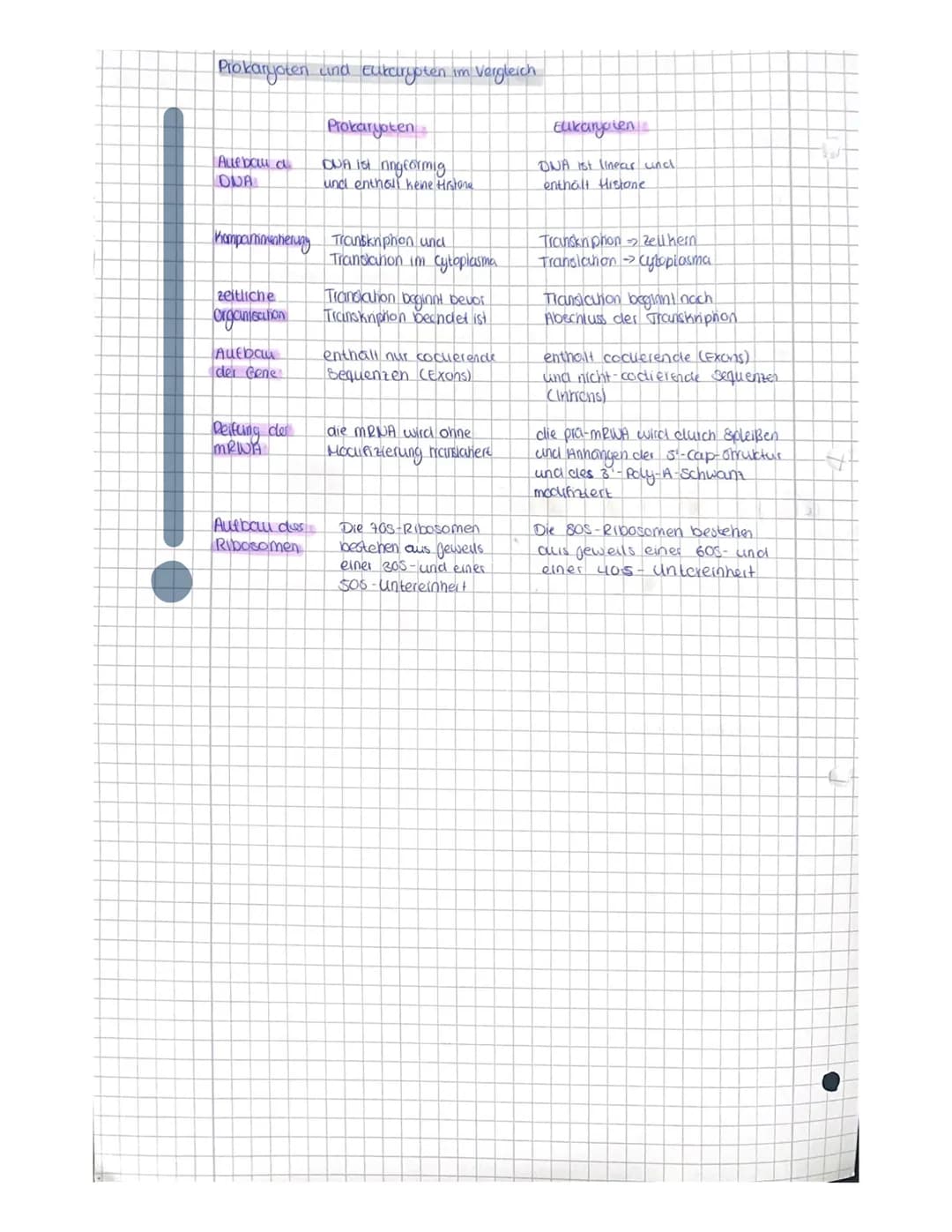 OR
to
Q1.1 Von der DNA zum Protein.
Aufbau der DNA (Desoxyribonukleinacid)
Träger der Elbsubstanz
S
=
H
Hauptfunktion
Fungeschlechtliche wei