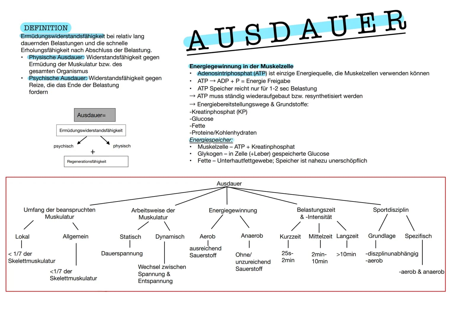  DEFINITION
bei relativ lang
Ermüdungswiderstandsfähigkeit
dauernden Belastungen und die schnelle
Erholungsfähigkeit nach Abschluss der Bela