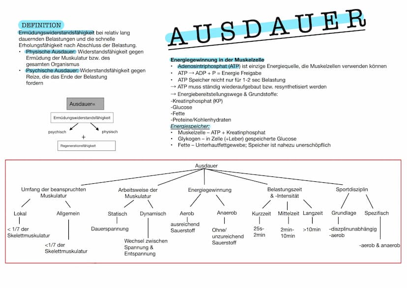  DEFINITION
bei relativ lang
Ermüdungswiderstandsfähigkeit
dauernden Belastungen und die schnelle
Erholungsfähigkeit nach Abschluss der Bela