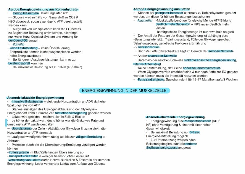  DEFINITION
bei relativ lang
Ermüdungswiderstandsfähigkeit
dauernden Belastungen und die schnelle
Erholungsfähigkeit nach Abschluss der Bela