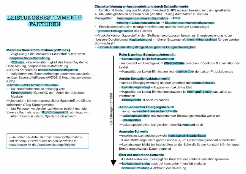  DEFINITION
bei relativ lang
Ermüdungswiderstandsfähigkeit
dauernden Belastungen und die schnelle
Erholungsfähigkeit nach Abschluss der Bela