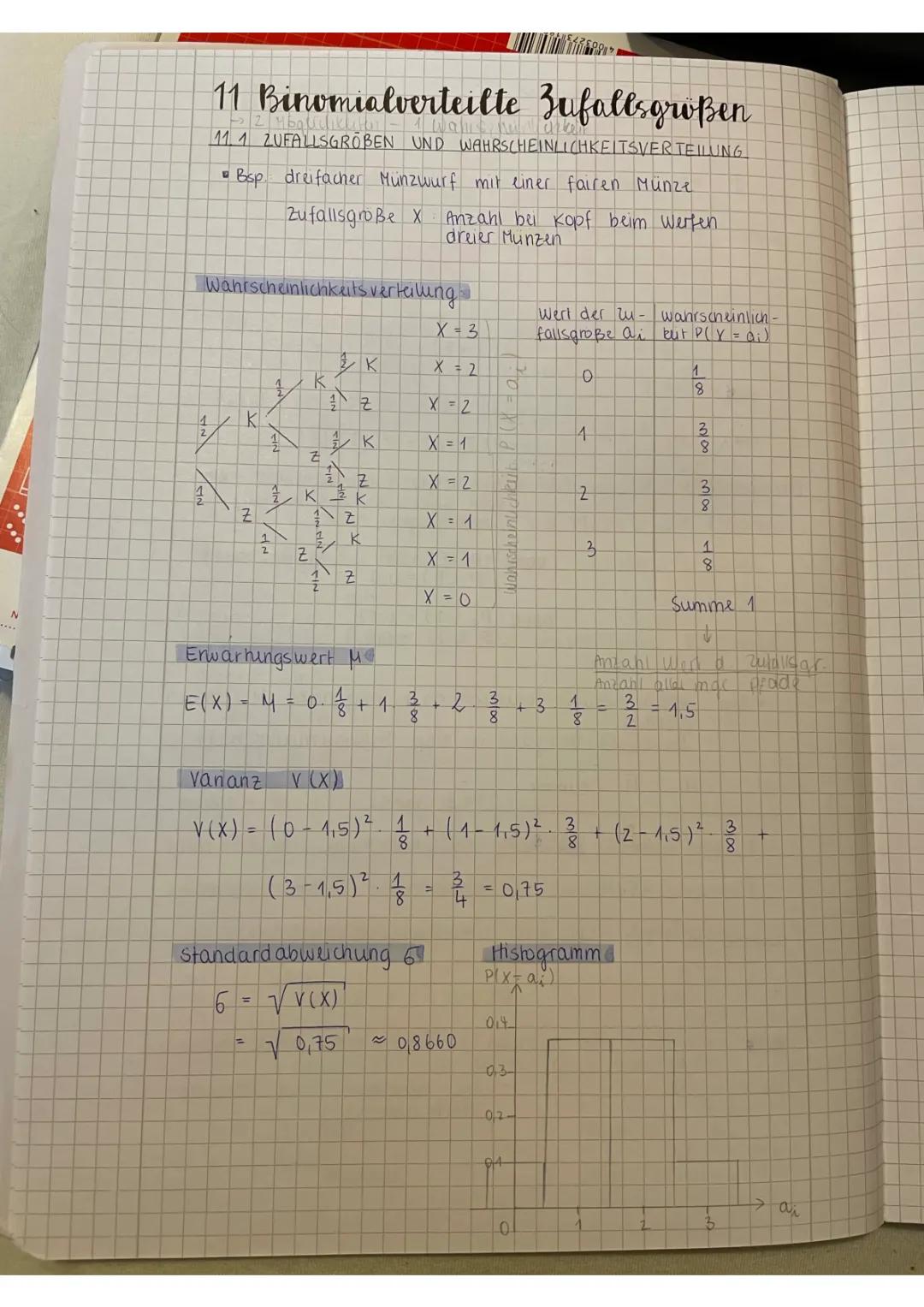 Binomialverteilung Aufgaben und Lösungen: PDF für Abitur & mehr