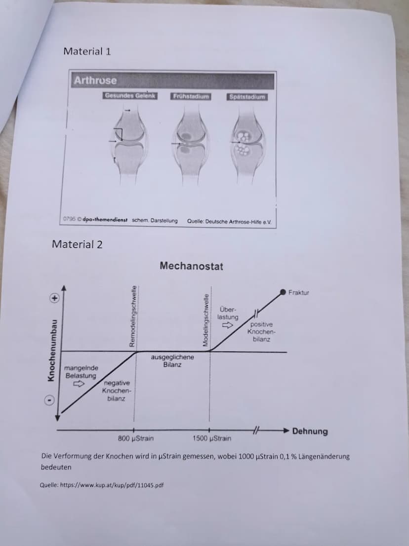 Klas
Lehrer:
Max. erreichb.Punktzahl:
Hilfsmittel:
63
keine
Auszug aus der BBS-VO:
Fach:
LF8 Zoologisch und
humanbiologisch arbeiten
Theorie