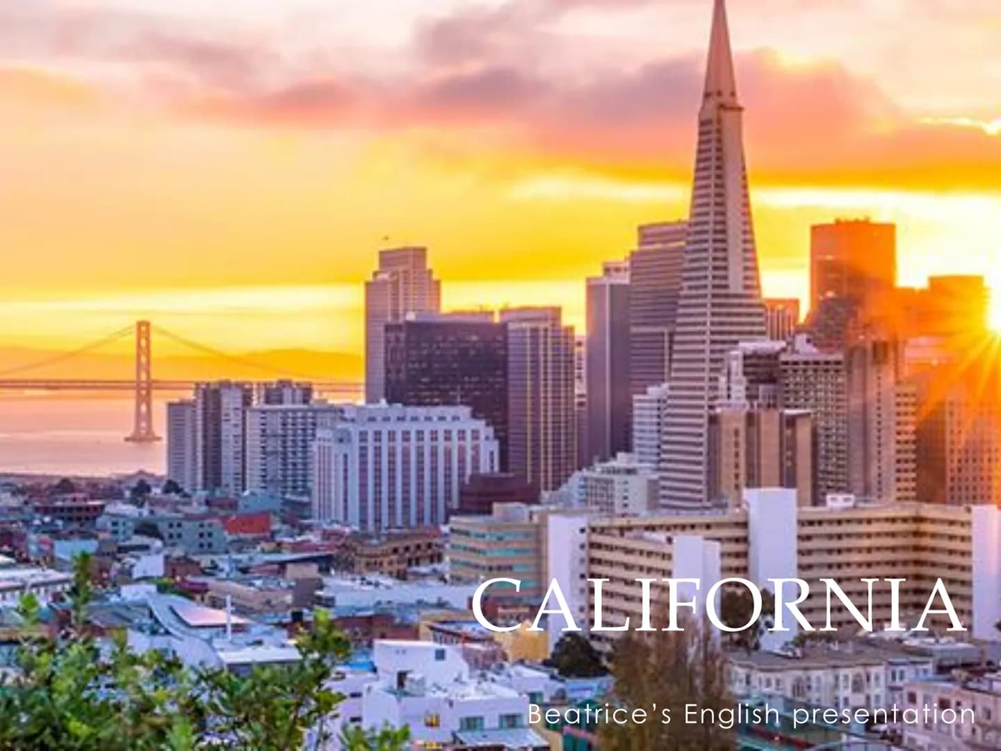 CALIFORNIA
Beatrice's English presentation Basic information
California on a map
The California flag
• Sights
●
●
TABLE OF CONTENTS
Hollywoo