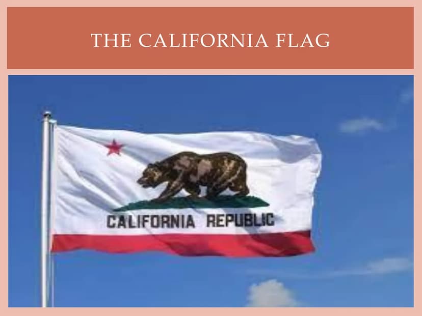 CALIFORNIA
Beatrice's English presentation Basic information
California on a map
The California flag
• Sights
●
●
TABLE OF CONTENTS
Hollywoo