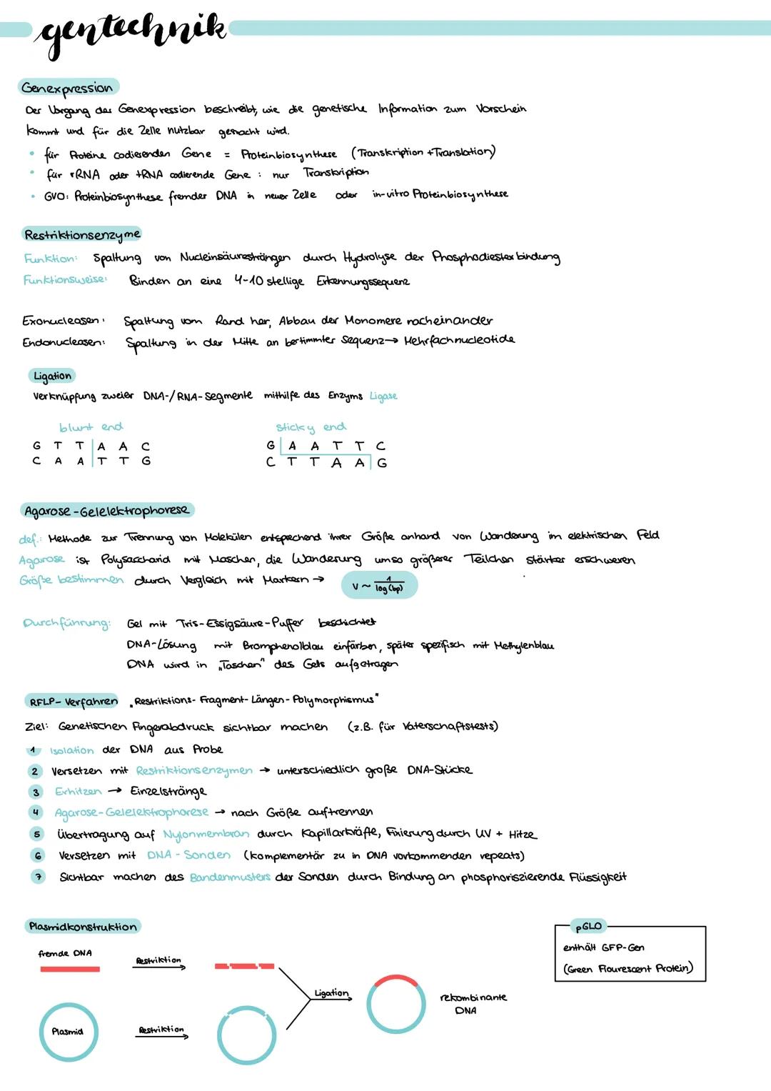 nomenklatur
.
Stoffklasse
.
Carbonsäure
.
Ester
Aldehyd
keton
Alkohol
Amin
Ether
Alken
Alkin
Halogenalkan
Q1 organische chemie
funkt. Gruppe