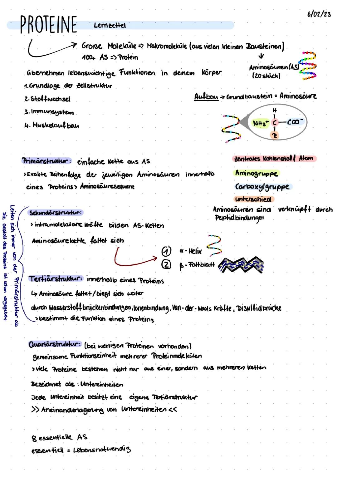 Proteins: How They Work and Build Your Body