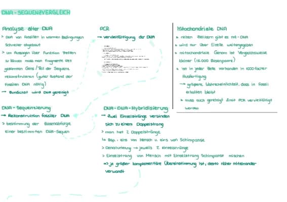 Know DNA-Sequenzvergleich & Aminosäuresequenzanalyse thumbnail
