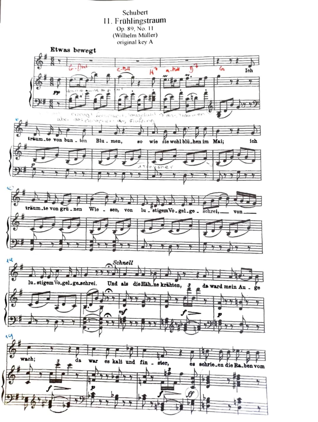 Musik und Sprache im Kunstlied „Frühlingstraum“
Zur Entstehung des Werks:
Franz Schubert (1797-1827) komponierte dieses Lied für seinen Zykl