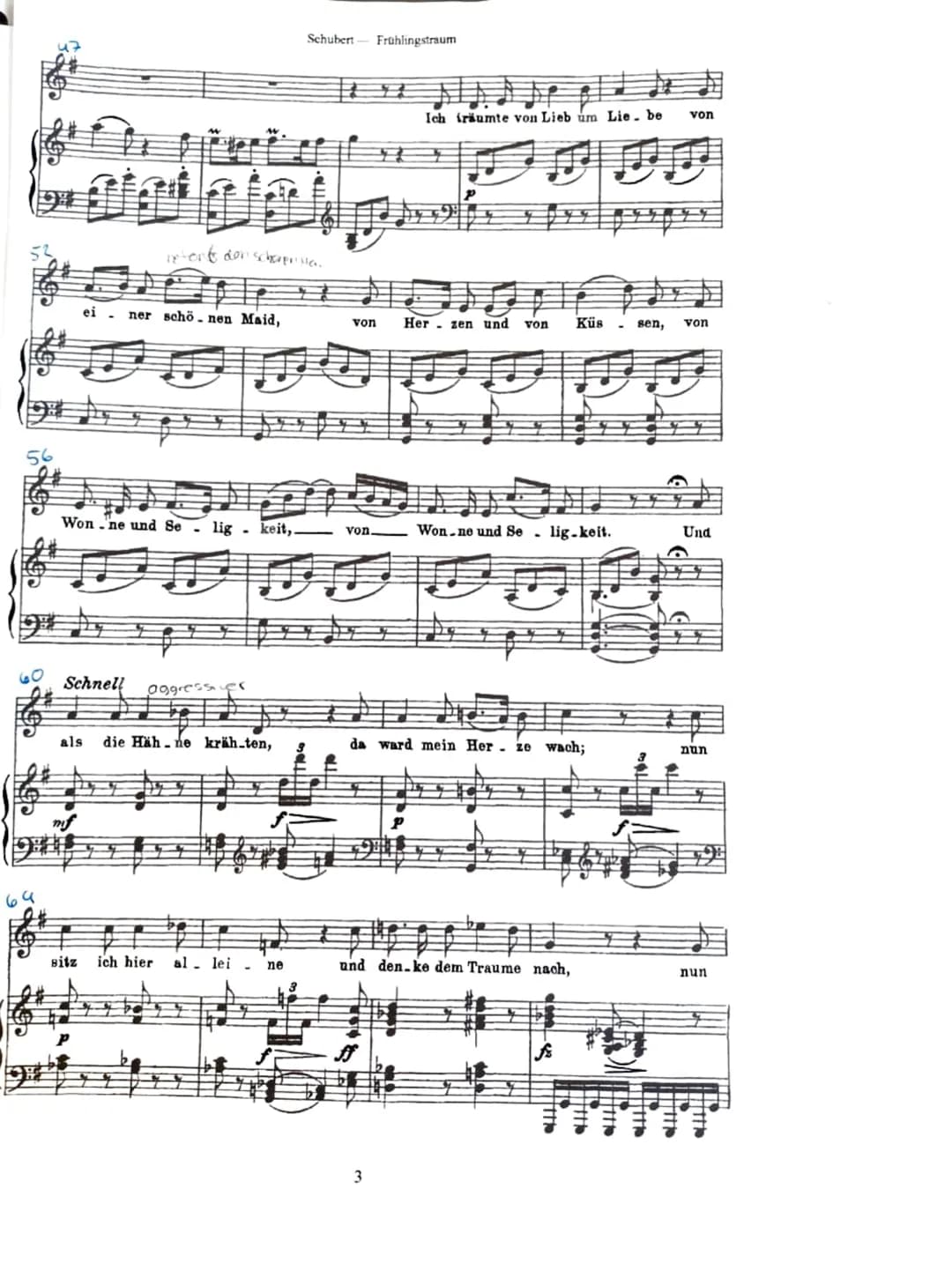 Musik und Sprache im Kunstlied „Frühlingstraum“
Zur Entstehung des Werks:
Franz Schubert (1797-1827) komponierte dieses Lied für seinen Zykl