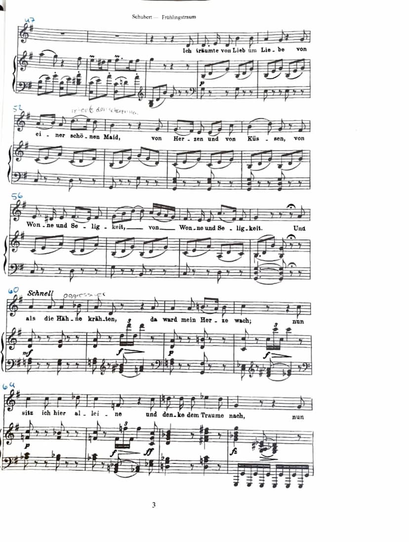 Musik und Sprache im Kunstlied „Frühlingstraum“
Zur Entstehung des Werks:
Franz Schubert (1797-1827) komponierte dieses Lied für seinen Zykl