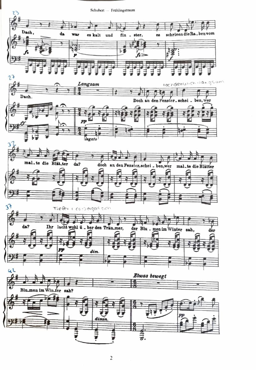 Musik und Sprache im Kunstlied „Frühlingstraum“
Zur Entstehung des Werks:
Franz Schubert (1797-1827) komponierte dieses Lied für seinen Zykl