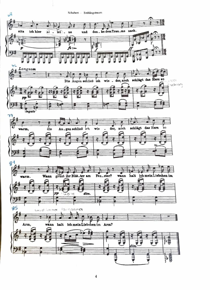 Musik und Sprache im Kunstlied „Frühlingstraum“
Zur Entstehung des Werks:
Franz Schubert (1797-1827) komponierte dieses Lied für seinen Zykl