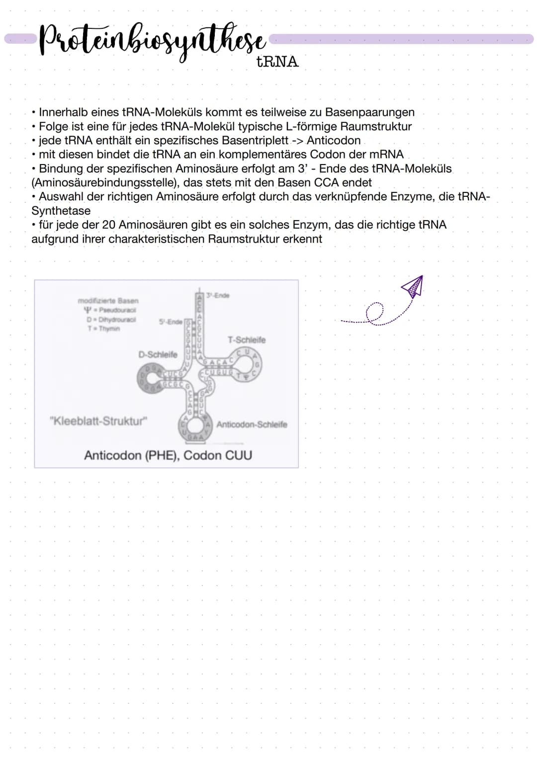 DNA
Zucker-
Phosphat-
Rückrat
organische
Basen
Zucker-
Phosphat-
Rückrat
Definition
DNA/ONS -
Desoxyribonukleinsäure
Träger der Erbinformati