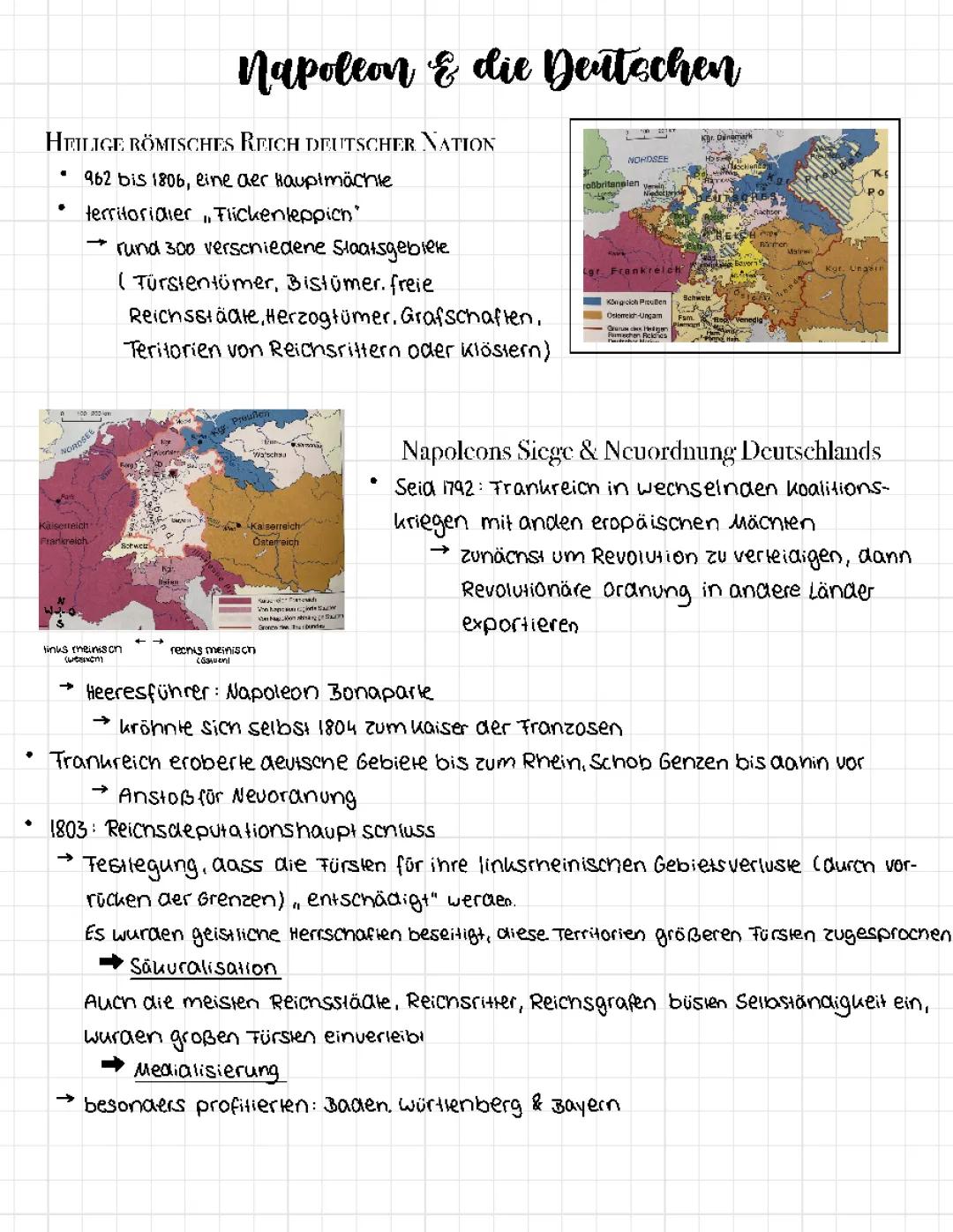 Napoleon und die Deutschen 