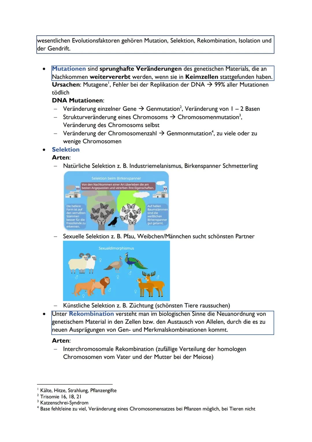 Theorien der Lebensentstehung
• Schöpfungsmythen
→ 80% aller Menschen Glaube an Schöpfung, Mayas, Hopi-Indianer, Christentum,
Hinduismus, Wa