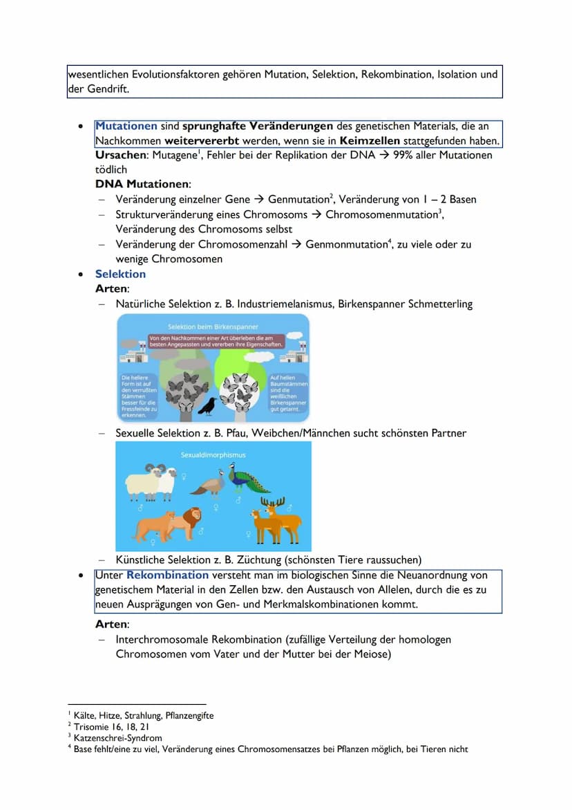 Theorien der Lebensentstehung
• Schöpfungsmythen
→ 80% aller Menschen Glaube an Schöpfung, Mayas, Hopi-Indianer, Christentum,
Hinduismus, Wa