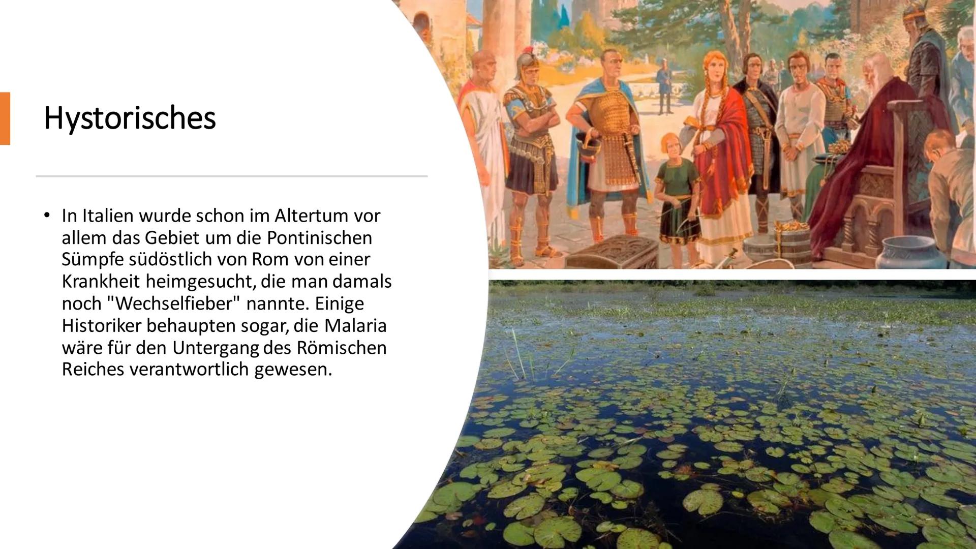 Malaria
Präsentation von
Romina Boketta
C # Handout

Malaria

Die Geschichte:

Alphonse Laveran, der ein französischer Militärarzt war, 1880