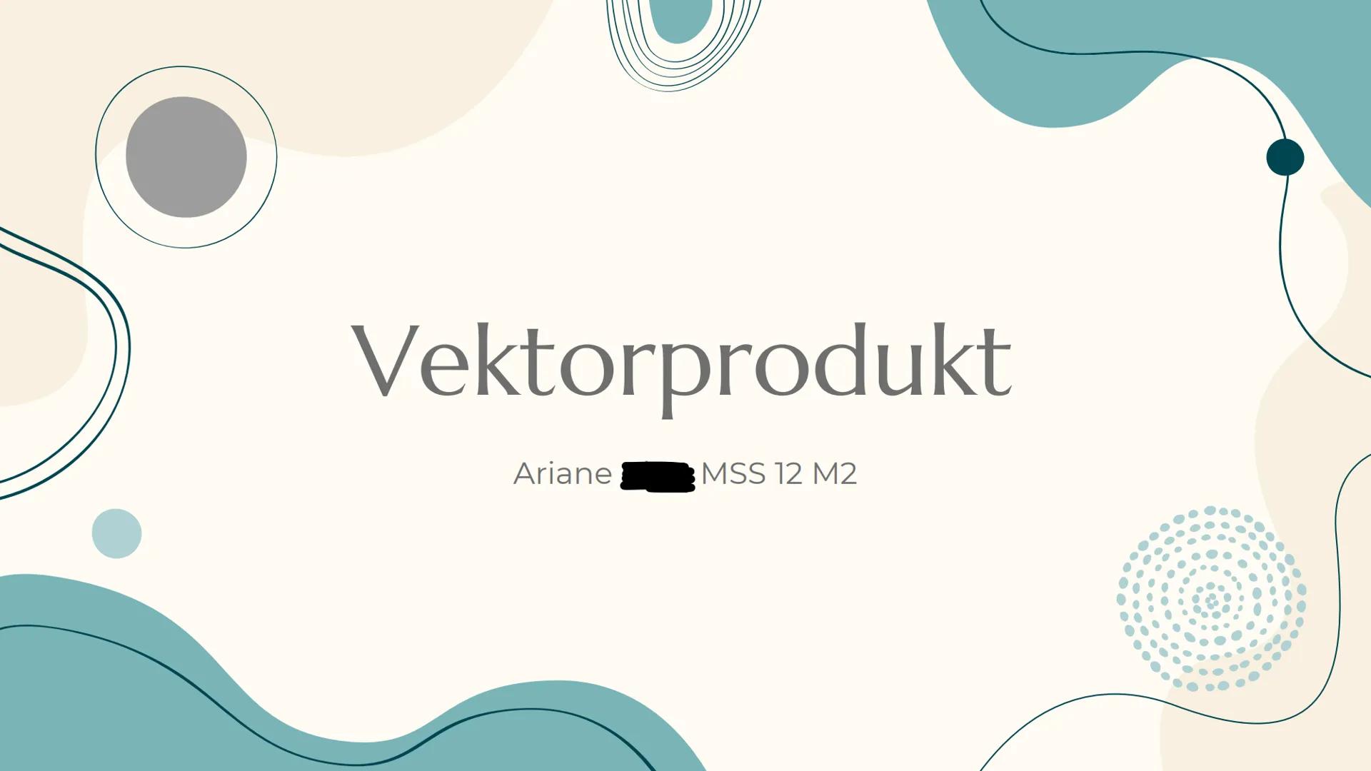 # Vektorprodukt

Ariane MSS 12 M2 Inhaltsverzeichnis

- Definition des Vektorprodukts – Allgemeines
- Rechengesetze für das Vektorprodukt
- 