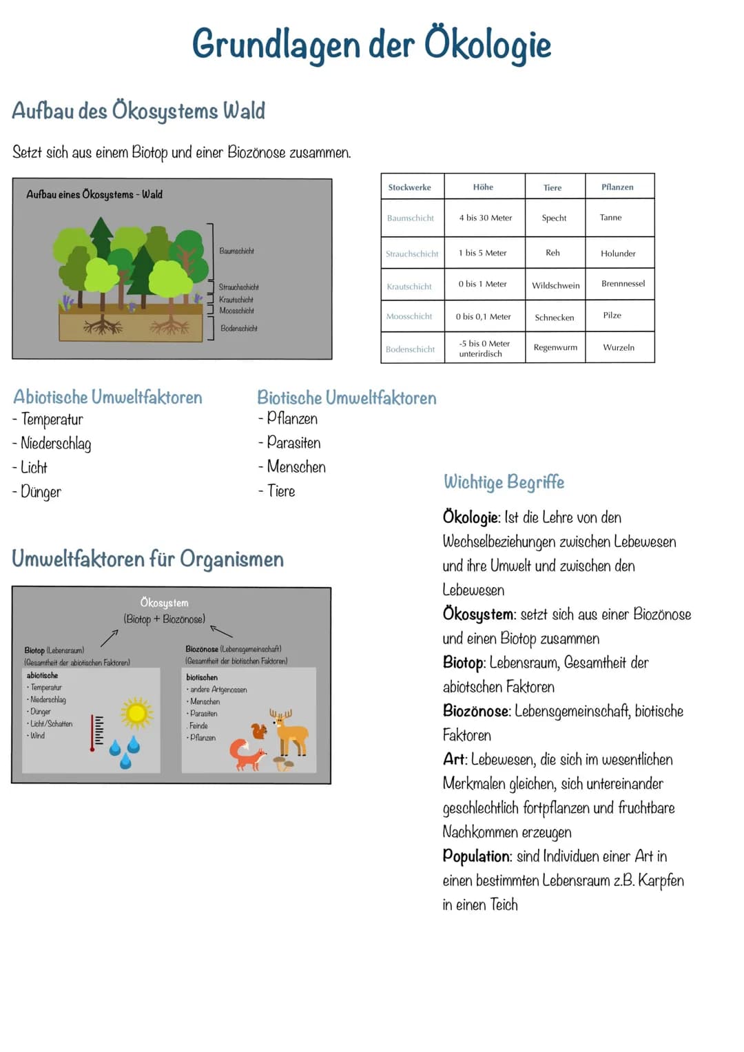 Aufbau des Ökosystems Wald
Setzt sich aus einem Biotop und einer Biozönose zusammen.
Aufbau eines Ökosystems - Wald
Grundlagen der Ökologie

