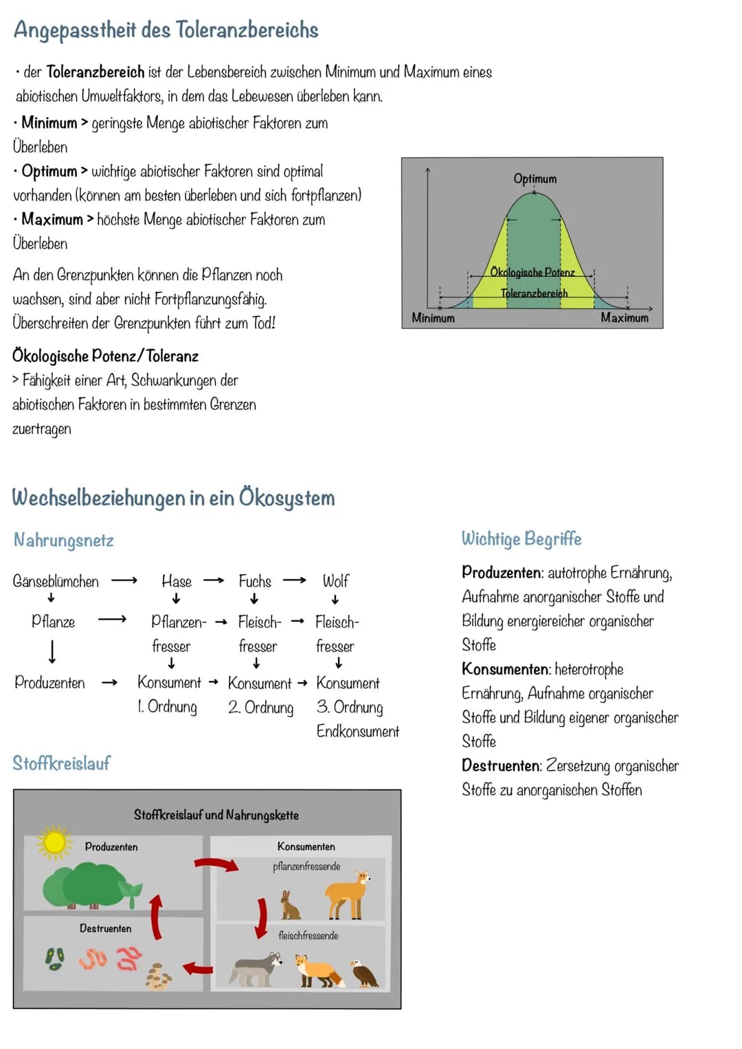 Aufbau des Ökosystems Wald
Setzt sich aus einem Biotop und einer Biozönose zusammen.
Aufbau eines Ökosystems - Wald
Grundlagen der Ökologie
