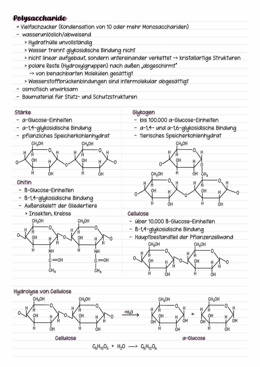 KOHLENHYDRATE
= Saccharide
organische Verbindungen aus Kohlenstoff, Sauerstoff und Wasserstoff
Monosaccharide
= Einfachzucker
in der Natur s