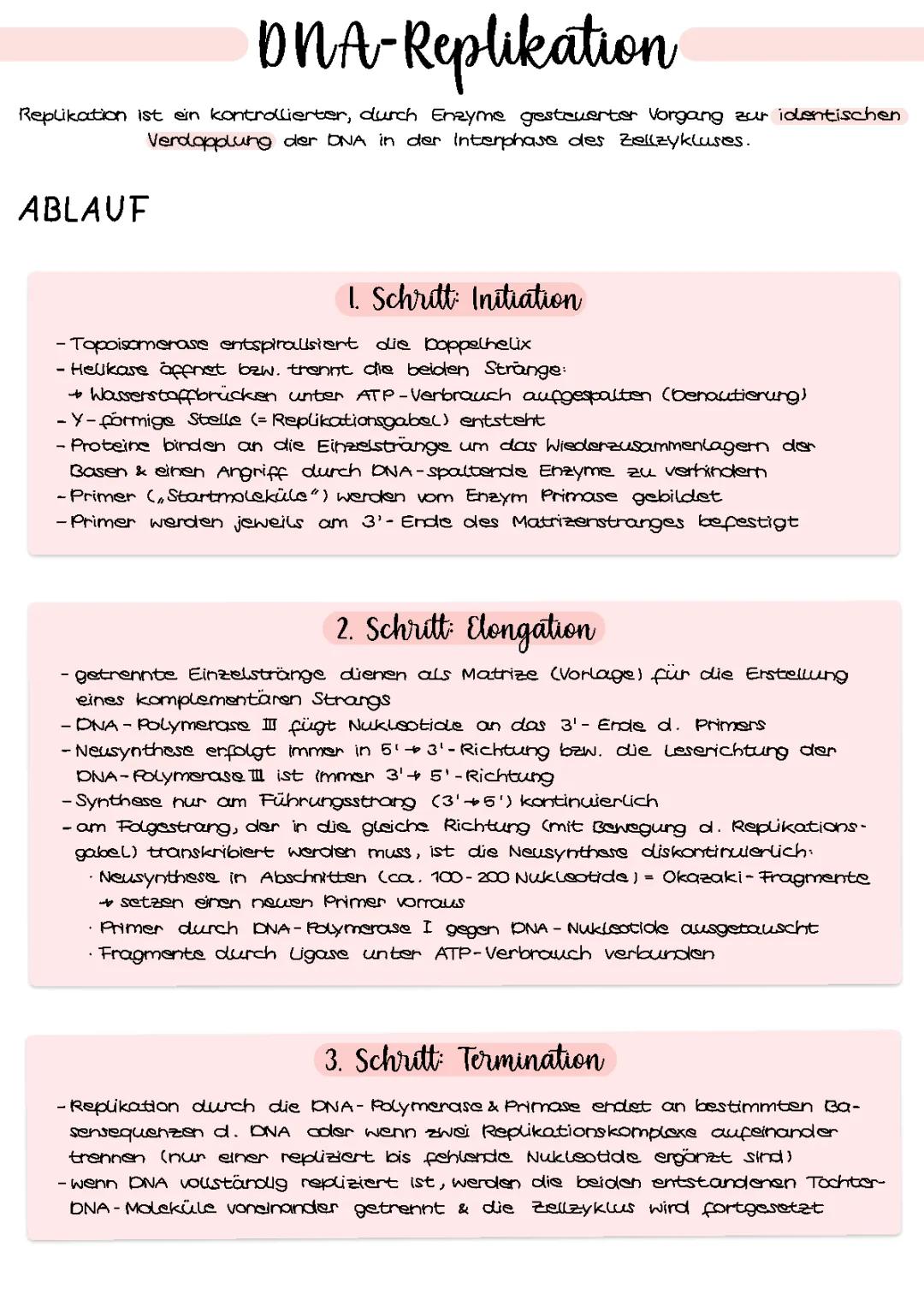 DNA-Replikation: Ablauf, Enzyme und mehr - einfach erklärt (mit Beschriftung und Fließschema)