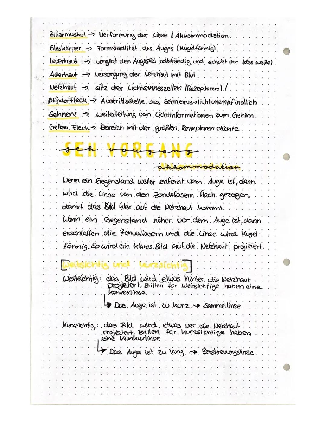 AUGE
Wie sehe ich?
Fixiert man einen Gegenstand,
so werden die von ihm aus-
gehenden Lichtstrahlen von
der Hornhaut und der Cinse
des Auges 