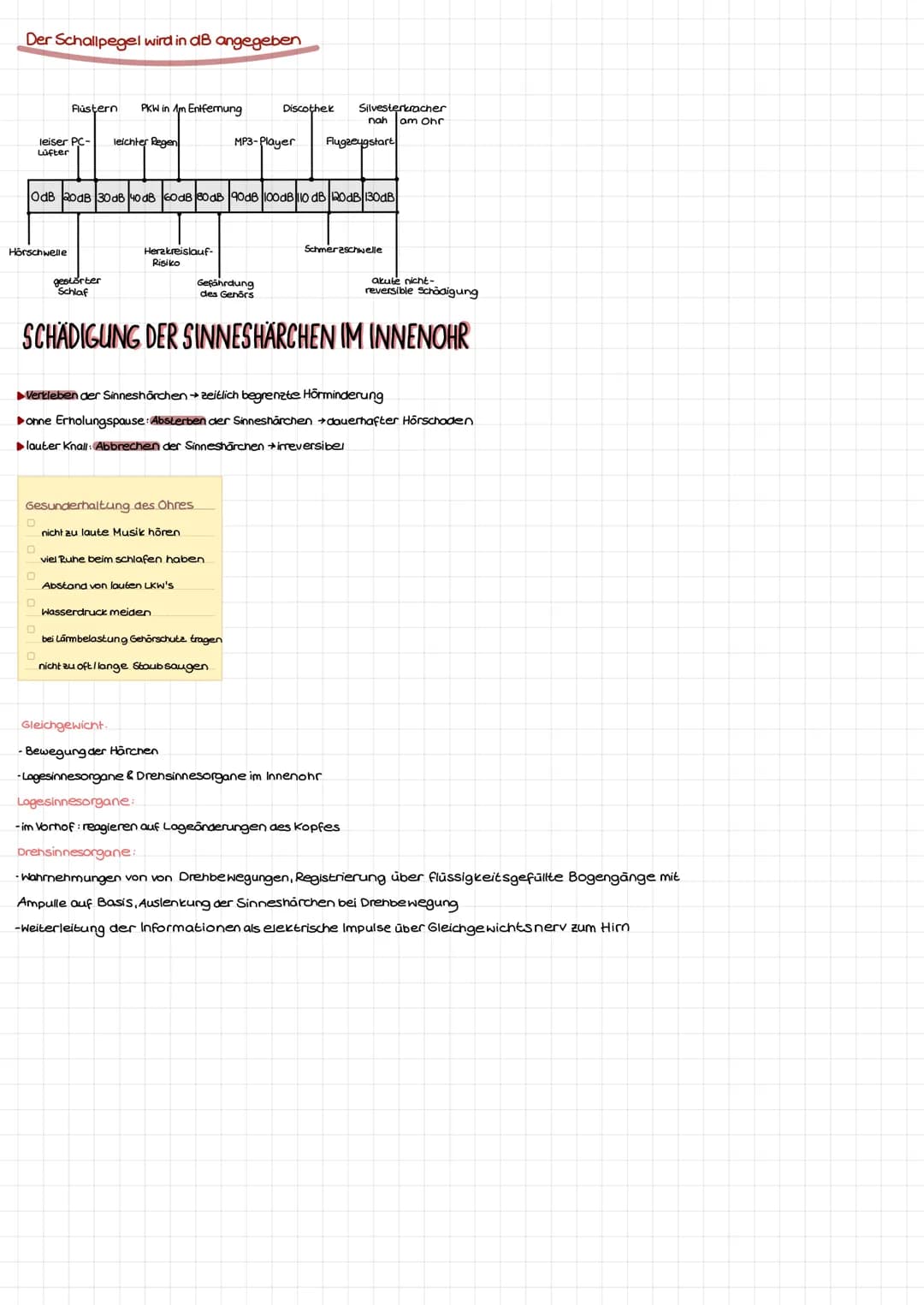 einzelne Funktionen:
Gehörgang:
Trommelfell:
Paukenhöhle:
rundes Fenster:
Ohrtrompete:
äußerer
Gehörgang
Schnecke:
Hörnerv:
Bogengänge:
oval