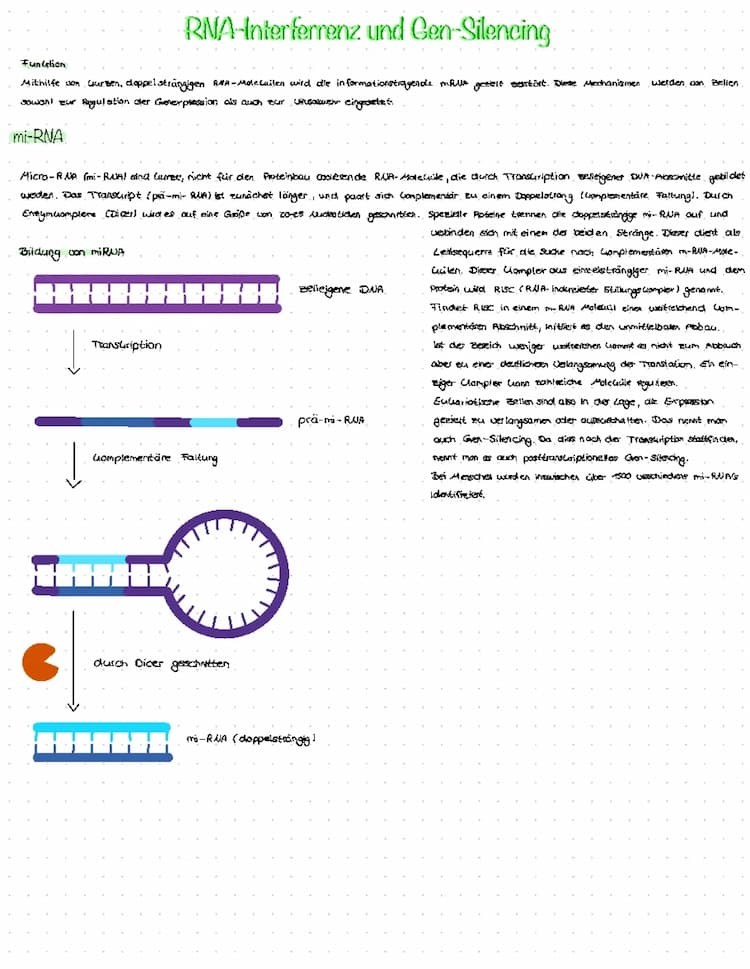 Know Lernzettel RNA-Interferenz und Gen-Silencing thumbnail