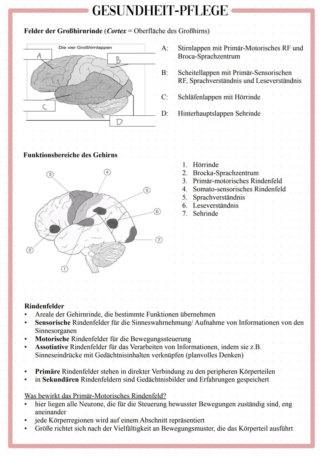 GESUNDHEIT-PFLEGE
Pflege bei neurologischer
Erkrankung Pflege bei neurologischer Erkrankung (Schlaganfall)
Definition
Apoplex/ Hirninfarkt/ 