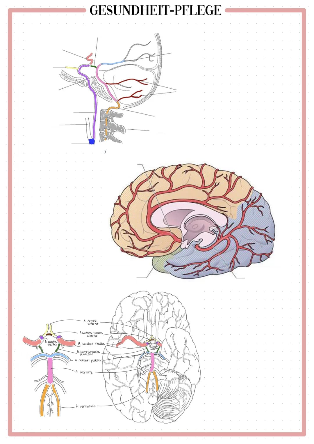 GESUNDHEIT-PFLEGE
Pflege bei neurologischer
Erkrankung Pflege bei neurologischer Erkrankung (Schlaganfall)
Definition
Apoplex/ Hirninfarkt/ 