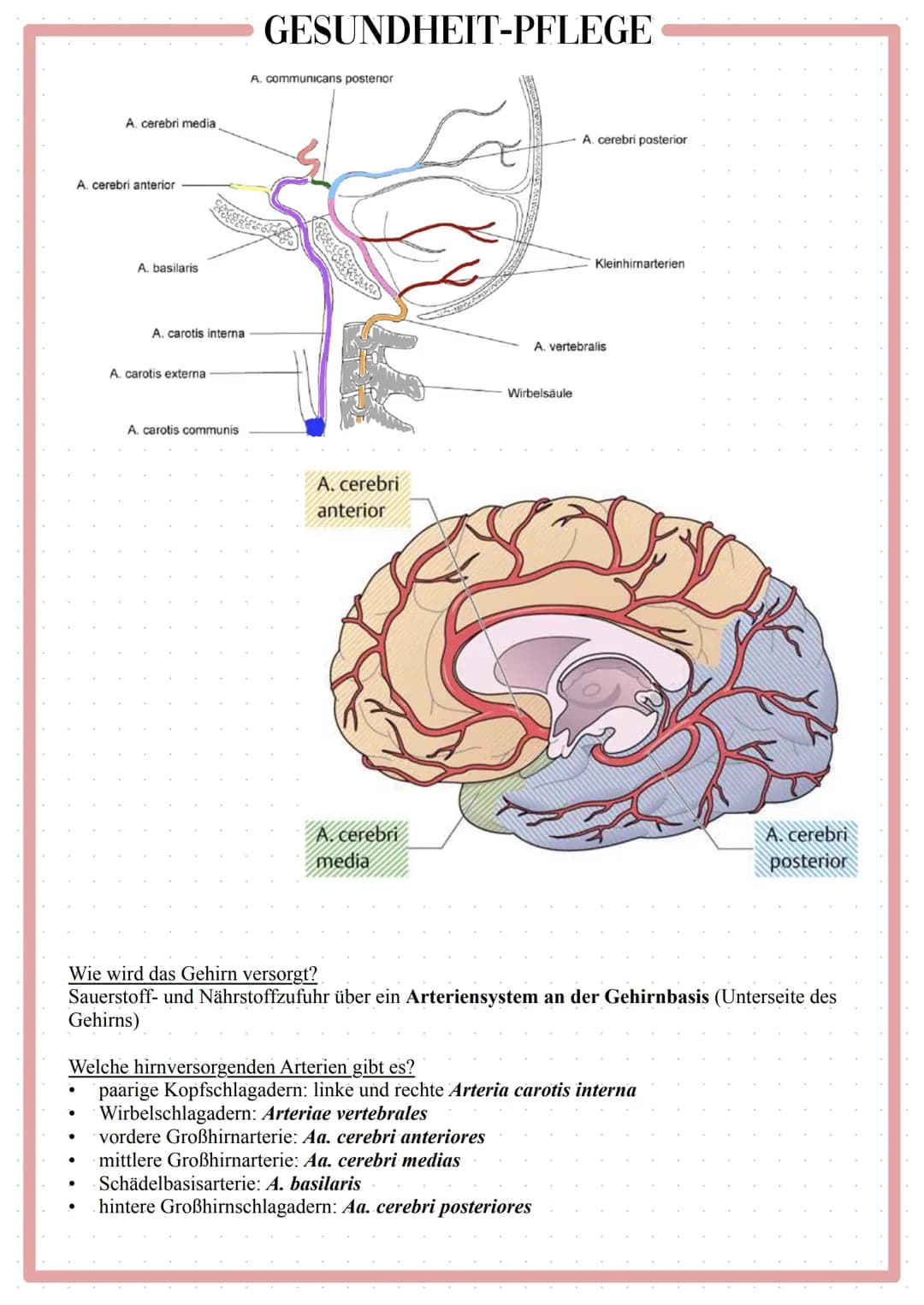 GESUNDHEIT-PFLEGE
Pflege bei neurologischer
Erkrankung Pflege bei neurologischer Erkrankung (Schlaganfall)
Definition
Apoplex/ Hirninfarkt/ 