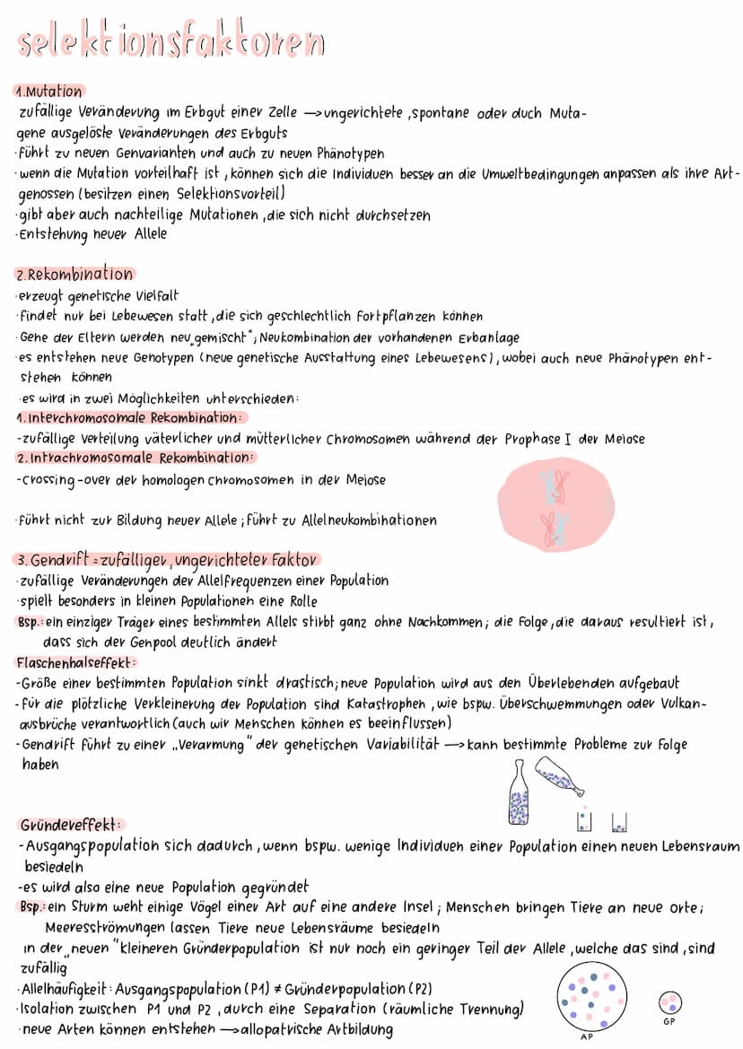 theorien
Lamarcks-Theovie:
aktive Anpassung der Arten durch Vererbung -in sich widersprüchliche Annahme
vervollkommungstvieb - Innever Drang
