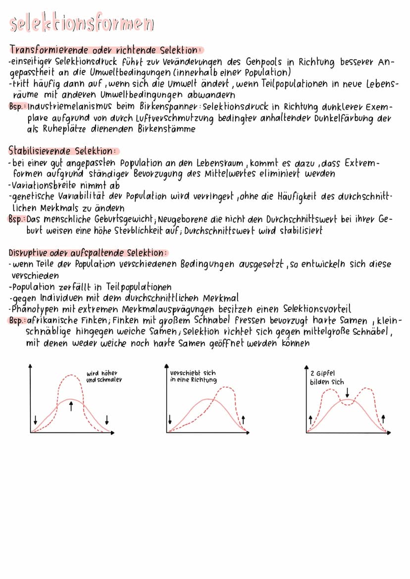 theorien
Lamarcks-Theovie:
aktive Anpassung der Arten durch Vererbung -in sich widersprüchliche Annahme
vervollkommungstvieb - Innever Drang