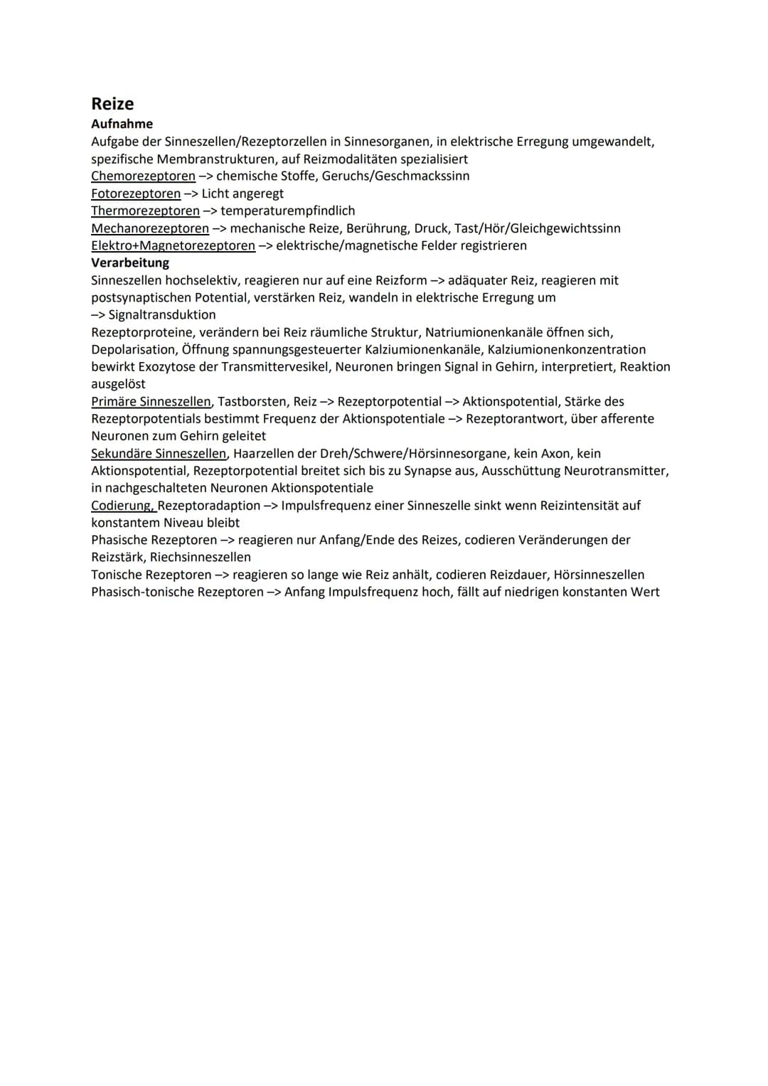 Nervensystem
Wirbellose
Quallen Neuronen in einfachen Nervennetzen
Ringelwürmer aus 2 Nervensträngen, Bauchmark, Knoten aus Neuronen -> Gang