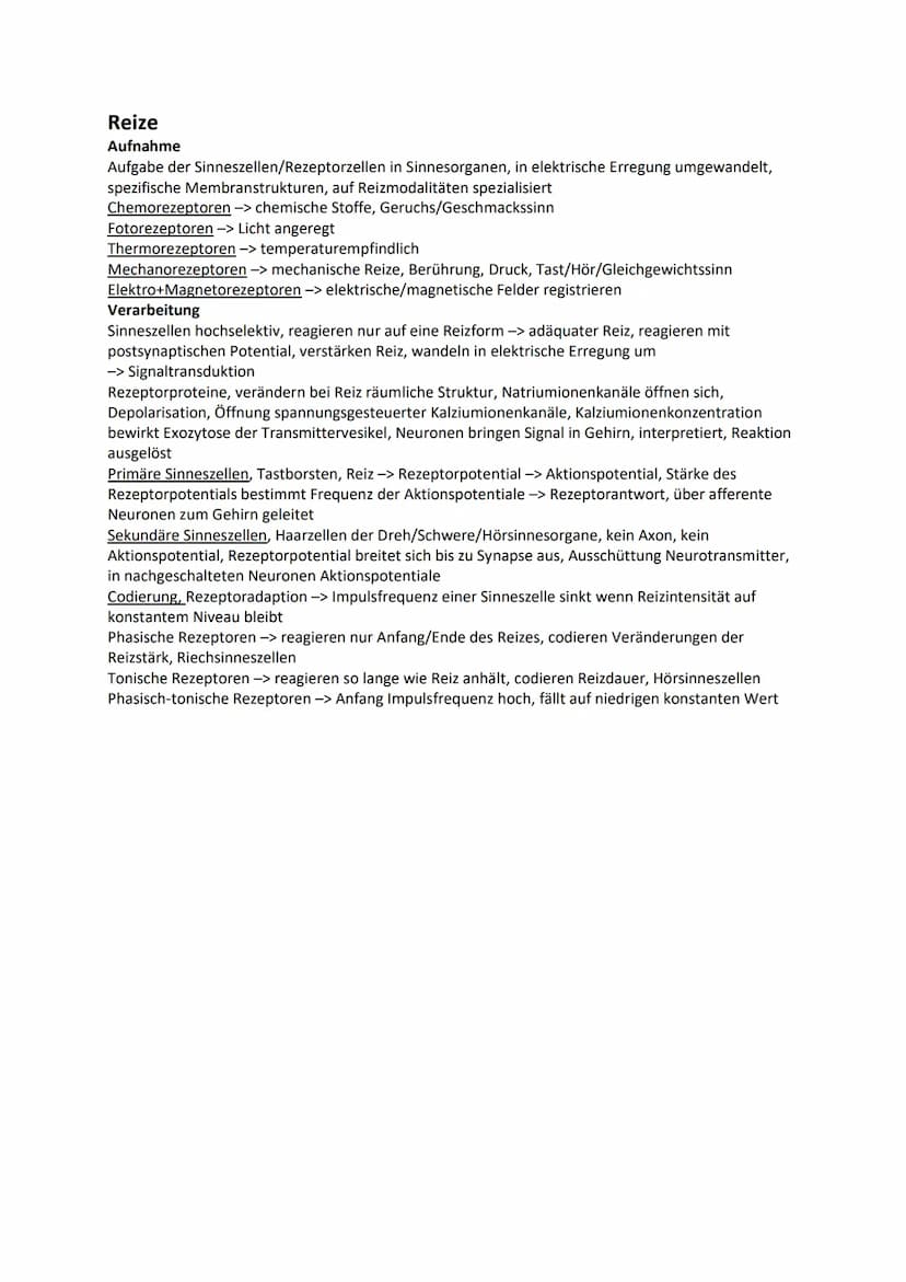 Nervensystem
Wirbellose
Quallen Neuronen in einfachen Nervennetzen
Ringelwürmer aus 2 Nervensträngen, Bauchmark, Knoten aus Neuronen -> Gang