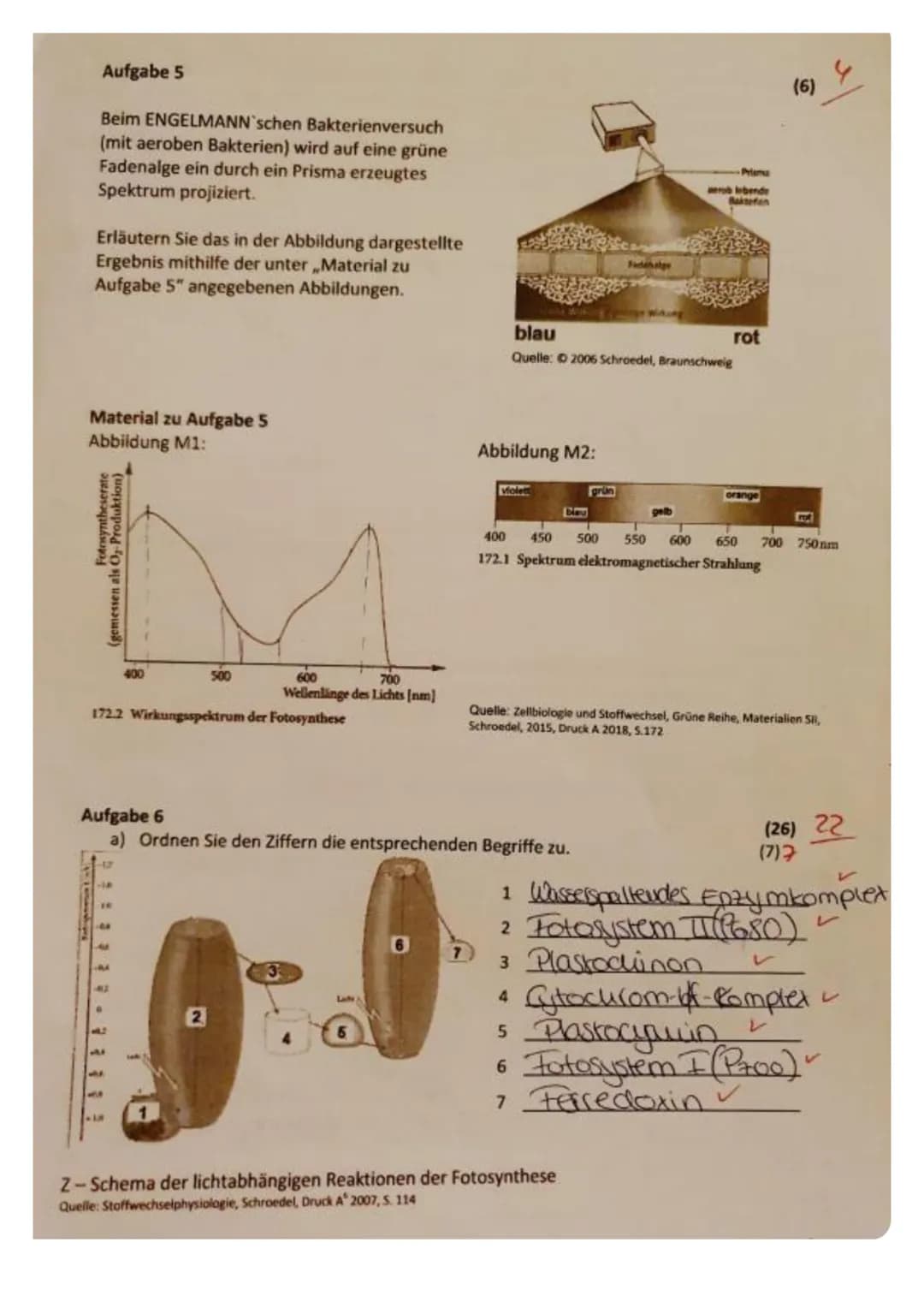 (2)
Aufgabe 1
Nennen Sie zwei Stichpunkte, die die grundlegende Bedeutung der Fotosynthese erklären.
Aufgabe 2
Im Diagramm ist die Öffnungsw