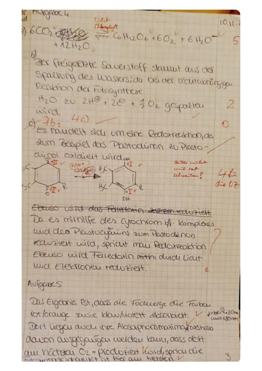(2)
Aufgabe 1
Nennen Sie zwei Stichpunkte, die die grundlegende Bedeutung der Fotosynthese erklären.
Aufgabe 2
Im Diagramm ist die Öffnungsw