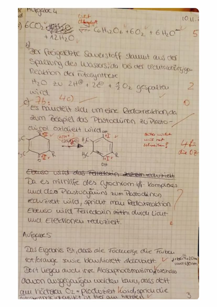 (2)
Aufgabe 1
Nennen Sie zwei Stichpunkte, die die grundlegende Bedeutung der Fotosynthese erklären.
Aufgabe 2
Im Diagramm ist die Öffnungsw