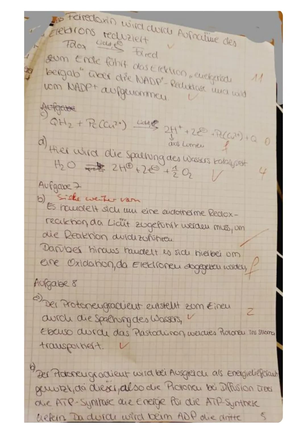 (2)
Aufgabe 1
Nennen Sie zwei Stichpunkte, die die grundlegende Bedeutung der Fotosynthese erklären.
Aufgabe 2
Im Diagramm ist die Öffnungsw