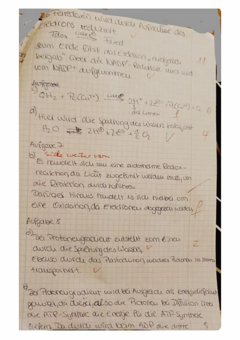 (2)
Aufgabe 1
Nennen Sie zwei Stichpunkte, die die grundlegende Bedeutung der Fotosynthese erklären.
Aufgabe 2
Im Diagramm ist die Öffnungsw